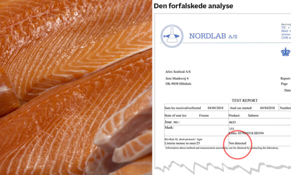 Juks med norsk laks i Danmark: Hør det utrolige lydopptaket